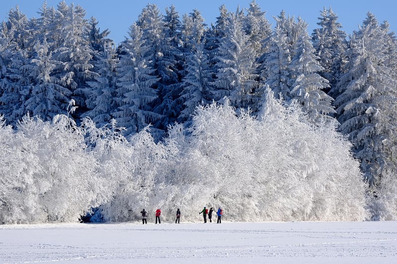 Train in Winter Landscape